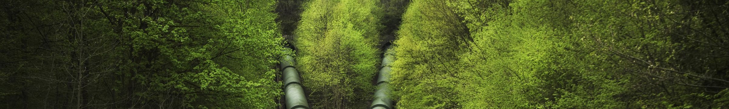 Pressure pipelines in green surroundings