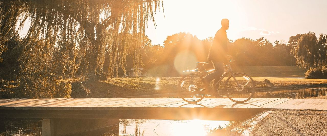 Man riding his bike among the trees