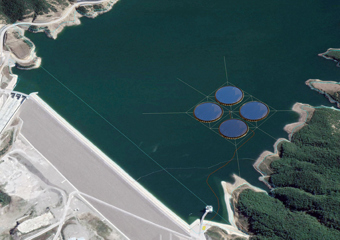 Floating solar plant